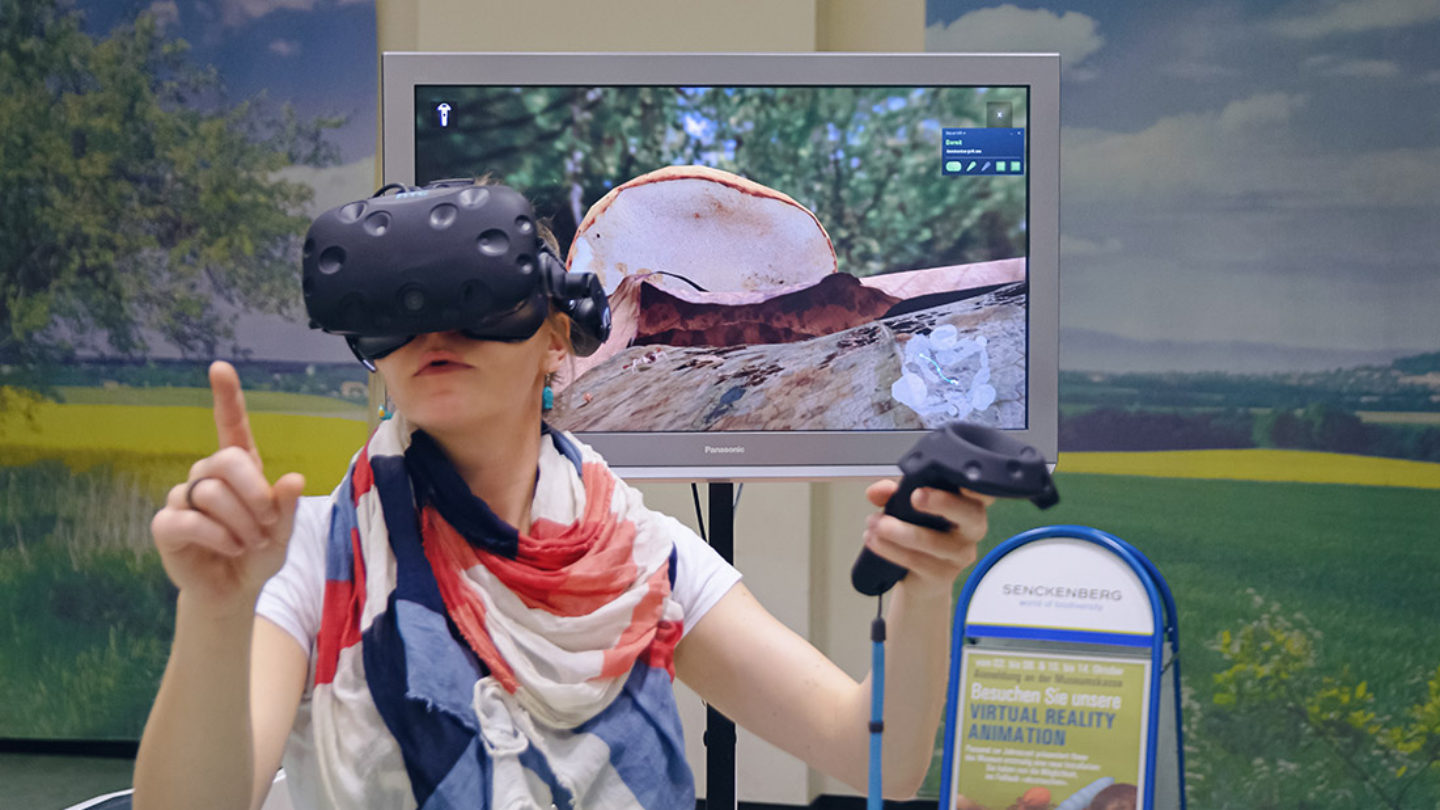 Virtual-Reality-Installation „Abenteuer Bodenleben“ erneut im Senckenberg Museum zu erleben