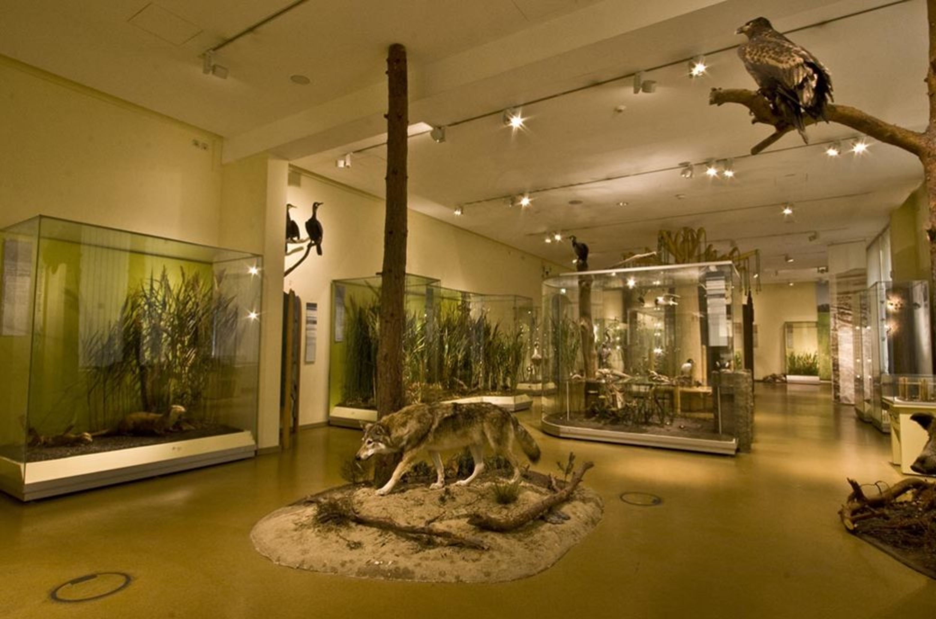 View of the permanent exhibition