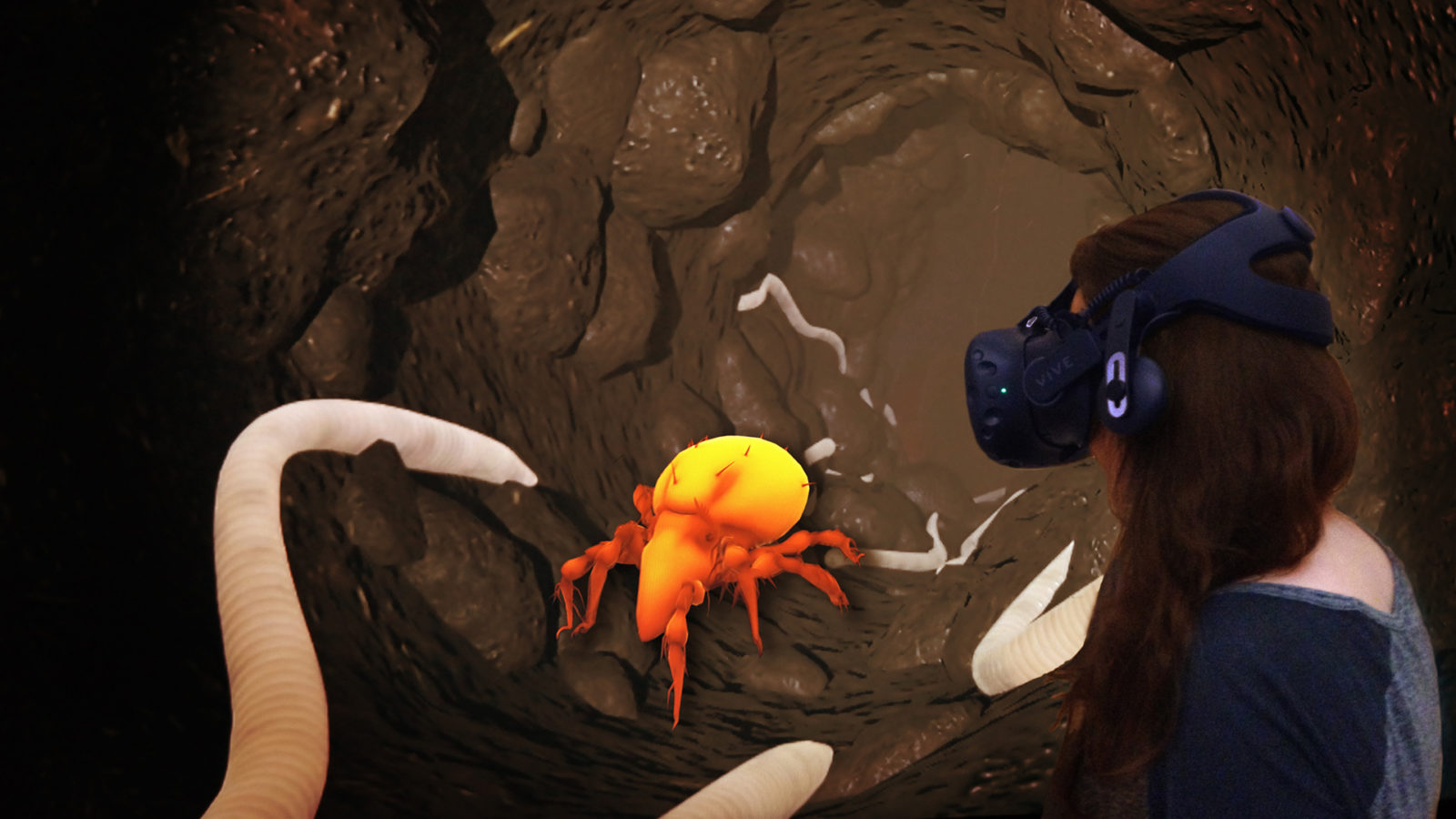 Virtual Reality Abenteuer Bodenleben
