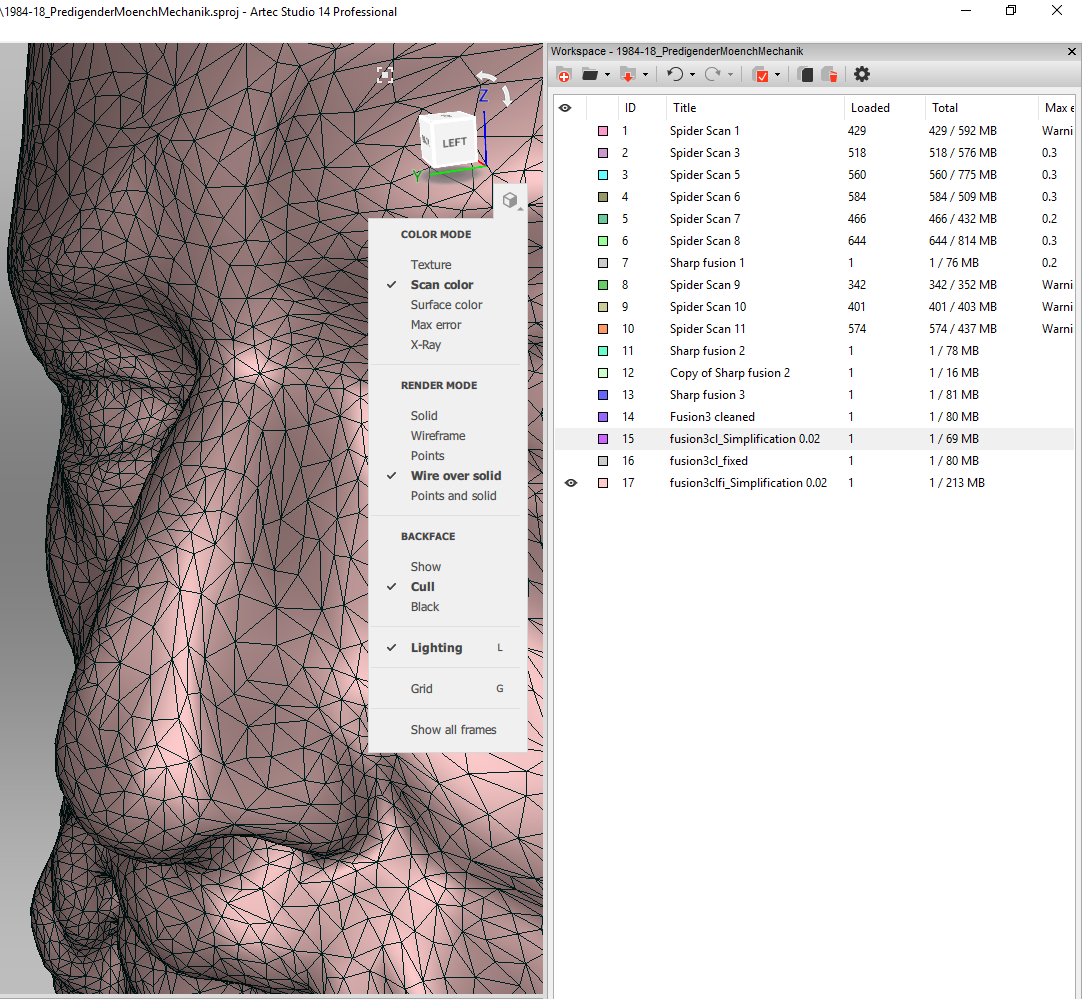 3D-Scan Mönch Screenshoot Artec Studio