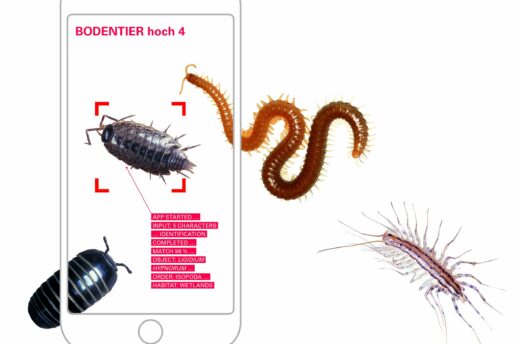 Bürgerwissenschaften per App