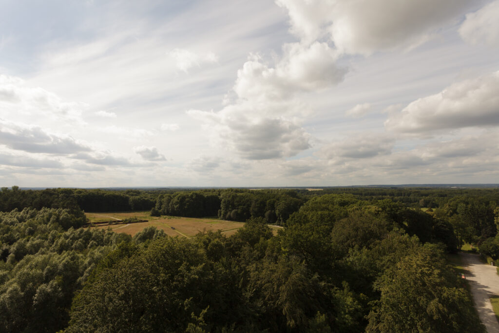 Ausblick