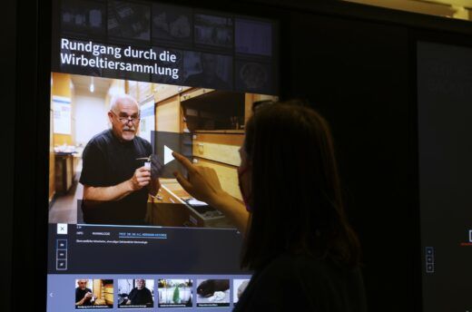 Die Medieninstallation „Senckenberg Backstage“ des museum4punkt0-Teams vom Senckenberg Museum für Naturkunde Görlitz lädt Museumsbesucher*innen ein, Forschenden z. B. beim Präparieren eines Bibers über die Schulter zu schauen und die vielfältigen wissenschaftlichen Sammlungen voller skulpturaler Muscheln, außerirdisch wirkender Hornmilben und schillernder Insekten kennenzulernen.