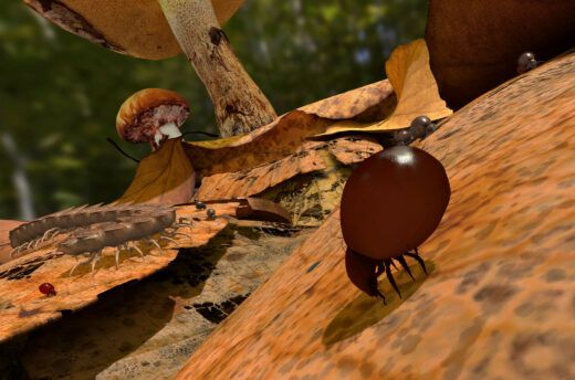 Das Standbild aus der Virtual Reality Abenteuer Bodenleben zeigt eine Hornmilbe auf einem Laubblatt und weitere Bodentiere im Hintergrund