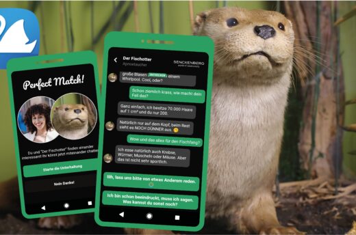museum4punkt0 nachgennutzt: Mit der App „Mein Objekt – Senckenberg“ auf dem eigenen Smartphone können Nutzer*innen mit Greifvogel, fleischfressender Pflanze oder Fischotter chatten. Die App ist eine Adaption der in museum4punkt0 entwickelten und weiterentwickelten App „Ping! Die Museumsapp“.