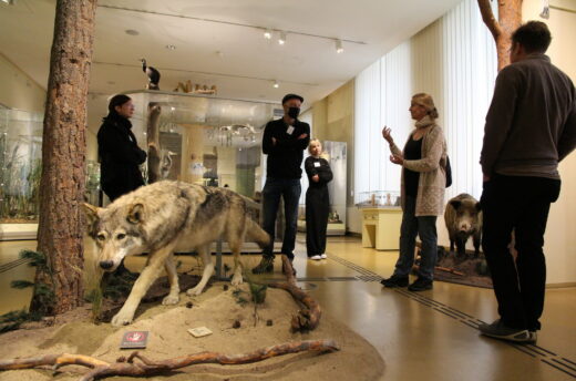 Führung durch die Dauerausstellung des Naturkundemuseum Görlitz (24. Verbundtreffen)