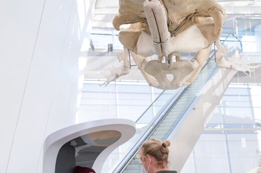 Im Eingangsbereich des Stralsunder Meeresmuseums interagiert ein blonder junger Mann mit einer Medieninstallation.