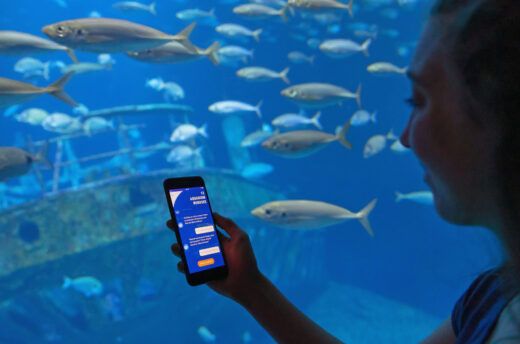 Vor einem Aquarium im Deutschen Meeresmuseum Stralsund chattet eine Besucherin mit der Anwendung 