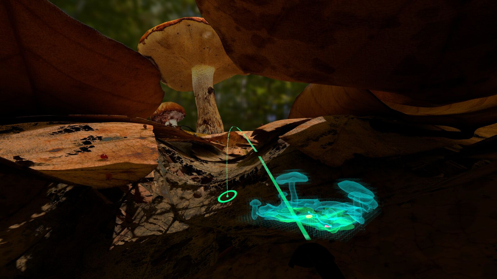 Eine Bildschirmaufnahme aus der Virtual Reality Anwendung "Abenteuer Bodenleben" zeigt einen Controller mit einer Karte der Umgebung, im Hintergrund sieht man einen virtuellen Waldboden.