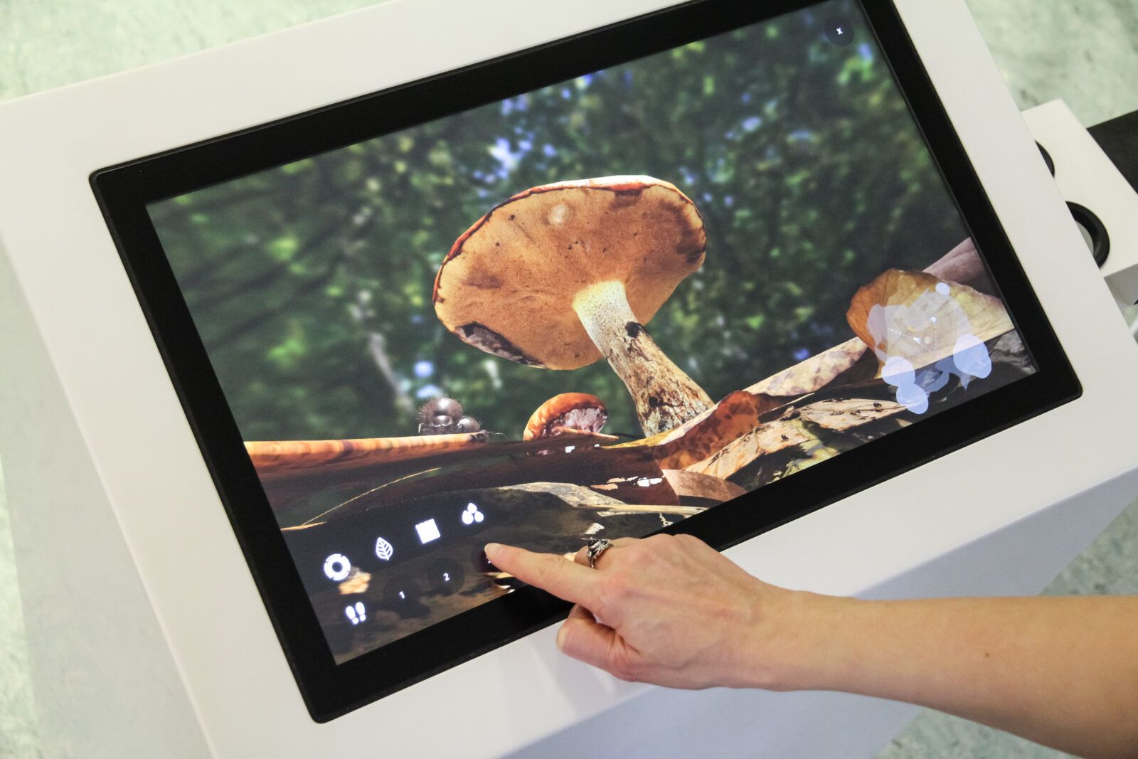 Es ist ein Bildschirm mit Touchscreen abgebildet. Darauf ist ein Pilz zu sehen.