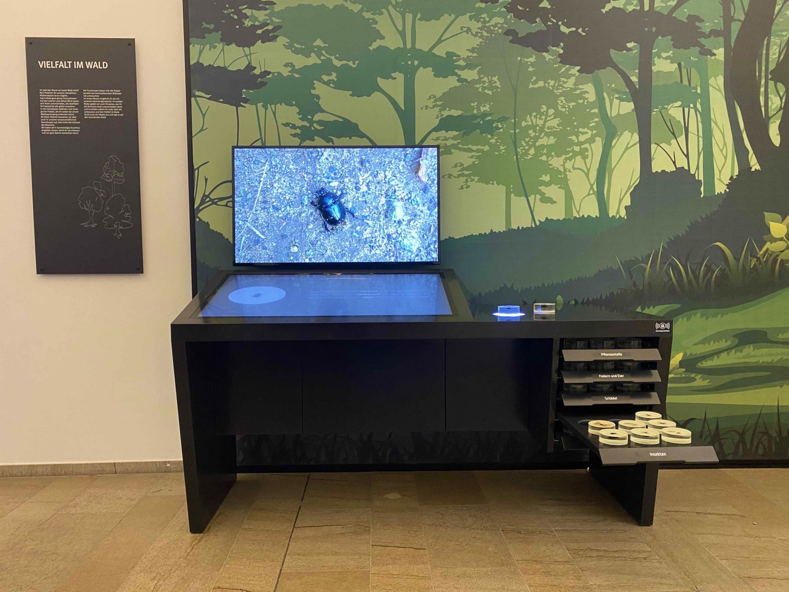 Vor einer Wand mit aufgedrucktem Waldmotiv steht die Medienstation, die aus einem unterfahrbaren Ausstellungsmöbel mit einem schräg gestellten Touchscreen, einer Ablagefläche mit Sensorscheibe und fünf Schubladen besteht und dazu ein Wandbildschirm.